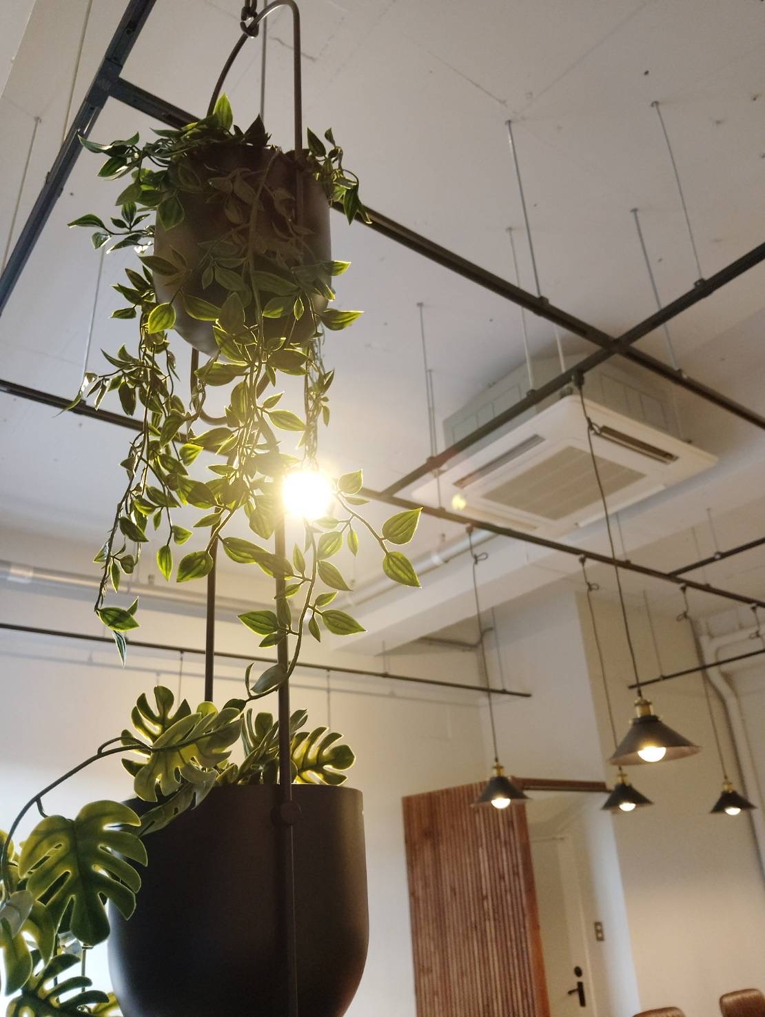 店内に飾られた観葉植物と照明
